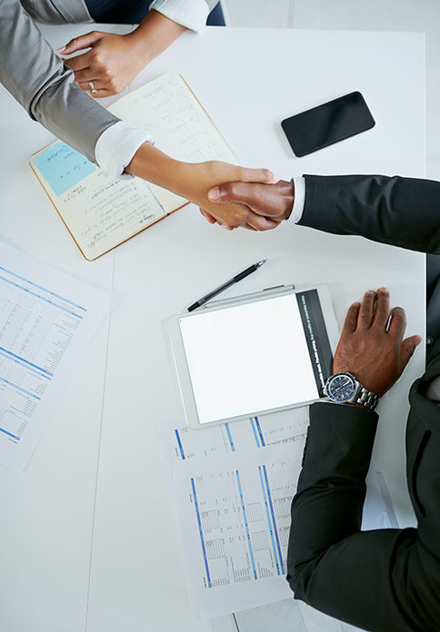 Professionals shaking hands