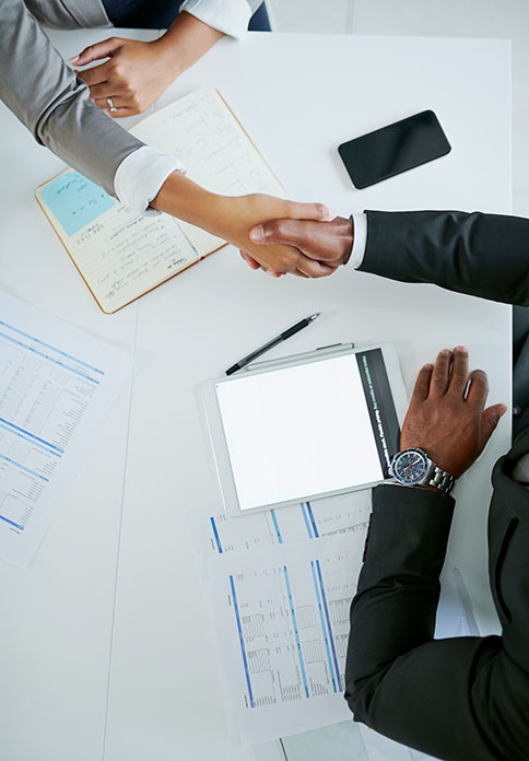 Professionals shaking hands